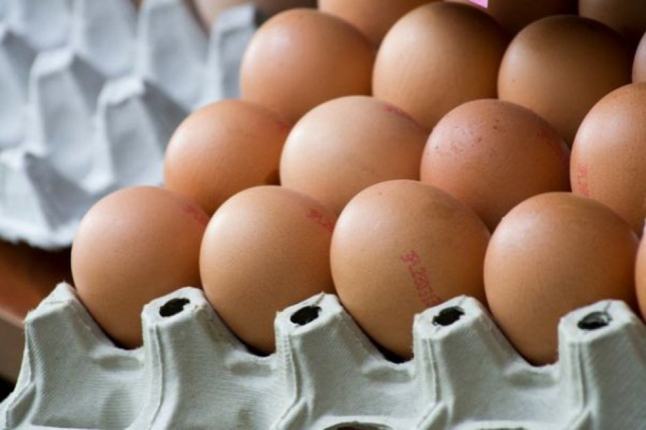 fot. jajka, shutterstock Sanepid ostrzega o salmonelli na skorupkach jajek