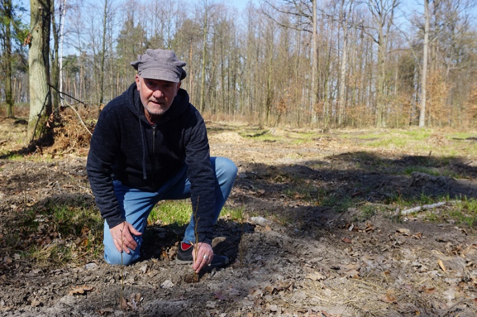 19. edycja Święta Drzewa Klubu Gaja odbędzie się w tym roku pod hasłem „Dla przyrody”, fot. materiały prasowe ALDI posadzi ogrody dla wiewiórek, nietoperzy, ptaków i zapylaczy