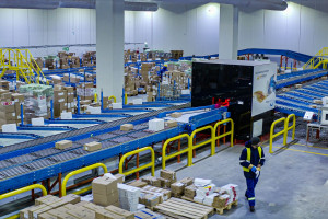 Frigo Logistics: Sorter produktów głęboko mrożonych usprawni obsługę Carrefoura i Auchan