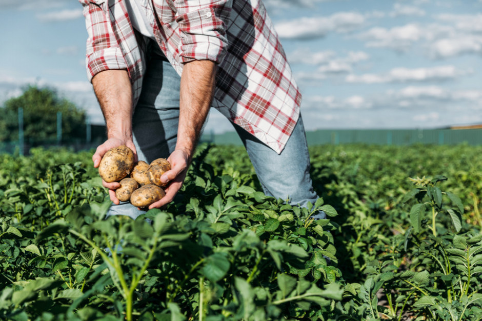 Eksperci z UE zwrócili uwagę na ogromny problem związany ze wzrostem kosztów produkcji żywności, fot. Shutterstock Rosnące koszty produkcji rolnej podważają sensowność jej kontynuowania