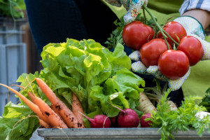 Normy Lidla dla owoców i warzyw bardziej restrykcyjne od prawa unijnego