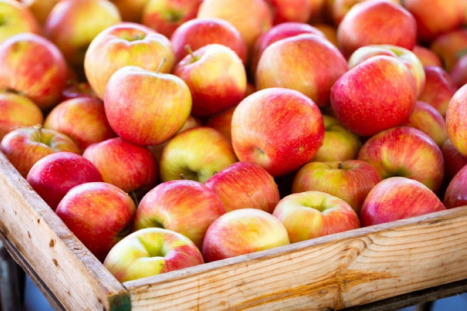 Lewica apeluje do ministra rolnictwa o interwencyjny skup jabłek