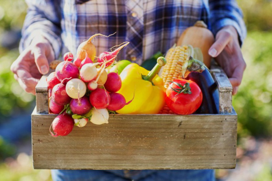 Ekologiczne produkty spożywcze przynajmniej raz na jakiś czas kupuje 86% Polaków. Fot. Shutterstock Cena najważniejszym kryterium zakupowym dla 7 na 10 Polaków