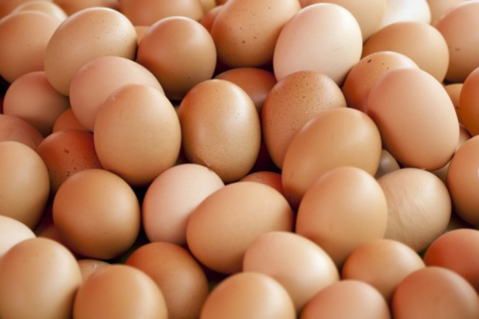 GIS ostrzega przed salmonellą w partii jajek