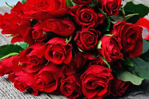 Bronisze: ponad 200-proc. wzrost sprzedaży róż na walentynki