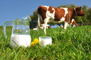 Opakowania mleczarskie w systemie kaucyjnym? Branża mówi 