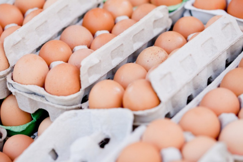 Izba producentów drobiu: Wycofywanie jaj klatkowych musi oznaczać podwyżki cen