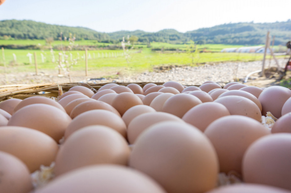 Jaja podrożały o 89 proc. w półtora miesiąca