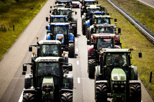 Holenderscy rolnicy protestują, sieci handlowe liczą straty