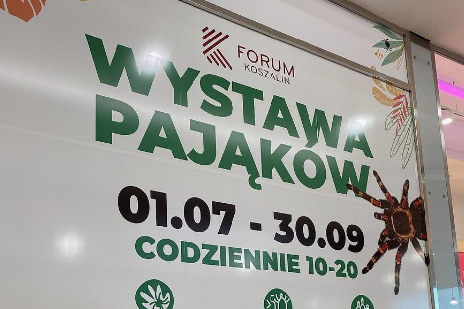 Wystawa pająków w Forum Koszalin