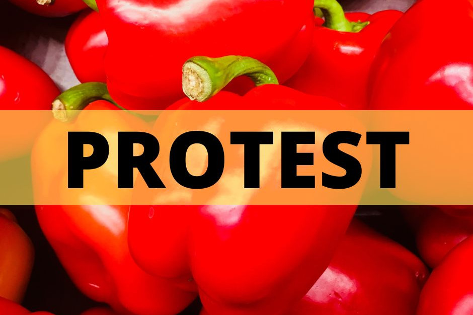 Protest producentów papryki pod sklepem Lewiatan. Co jest powodem demonstracji?