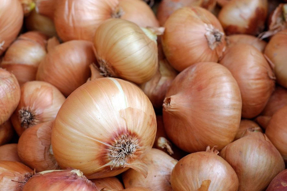 Rośnie popyt na polską cebulę. Jej cena urosła już trzykrotnie, fot. canva Cebula nowym cukrem? Jej cena galopuje