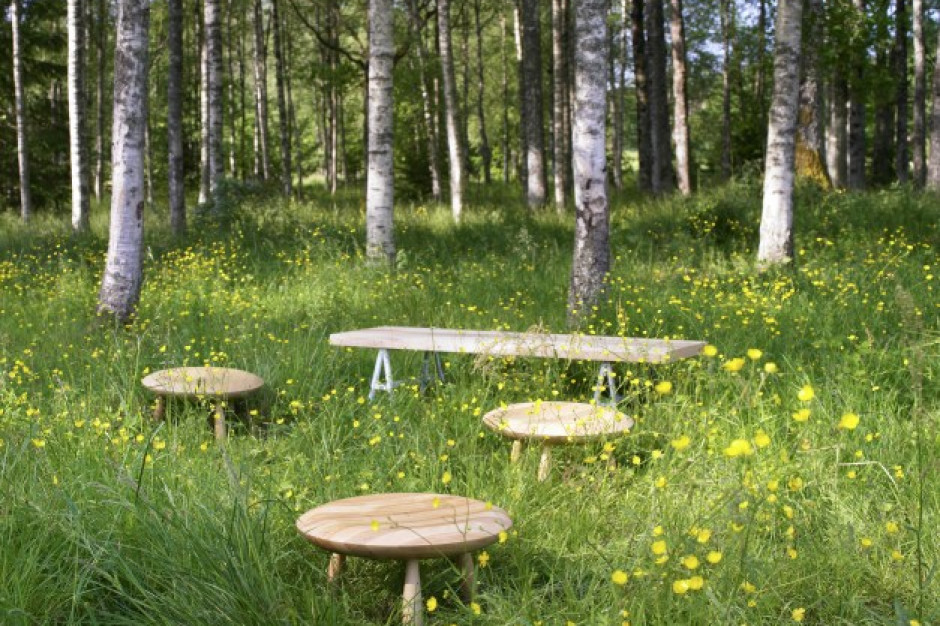 Skąd IKEA bierze drewno? Z polskich lasów