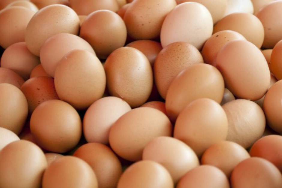 Po ile jaja kupują sklepy, a po ile sprzedają?