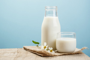 Na rynku mleka mniej problemów, bo jest w rękach spółdzielczych