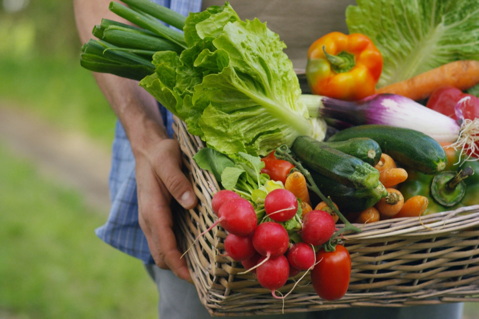 Ustawa o organizacji rynków owoców, warzyw i chmielu z poprawką Senatu