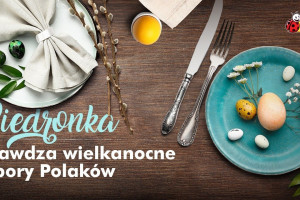 Biedronka ujawnia dane sprzedażowe. Jakie marki królują w polskich koszykach?