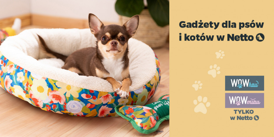 Gadżety dla psów i kotów w Netto, fot. mat. pras.