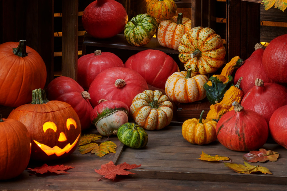 Halloween w Lidlu. Promocje na dynie i słodycze