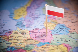 Jak rozwija się polski handel?, fot. Shutterstock/BUTENKOV ALEKSEI