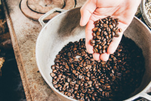 Najpopularniejsza kawa na świecie ma... 600 tys. lat