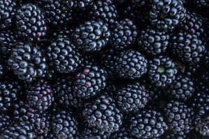 Zaobserwowano chorobowe zmiany w owocach (fot. Shutterstock)