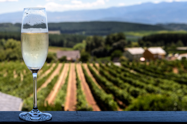 Producent "hiszpańskiego szampana" zwalnia 80 proc. załogi