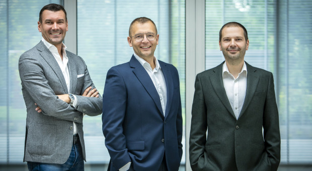 Nowa strategia Digitree Group. W planach większa synergia, przejęcia i podbój rynku influencerów