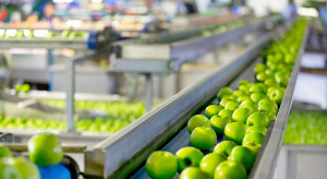 Polska przetwórnia owoców i warzyw ogłosiła upadłość. Brak chętnych na zakup