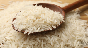 Mars zamyka europejską fabrykę ryżu. Produkcja staje się nieopłacalna
