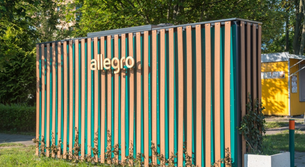 Allegro utrzymuje pozycję lidera zakupów, Biedronka zyskuje w rankingu