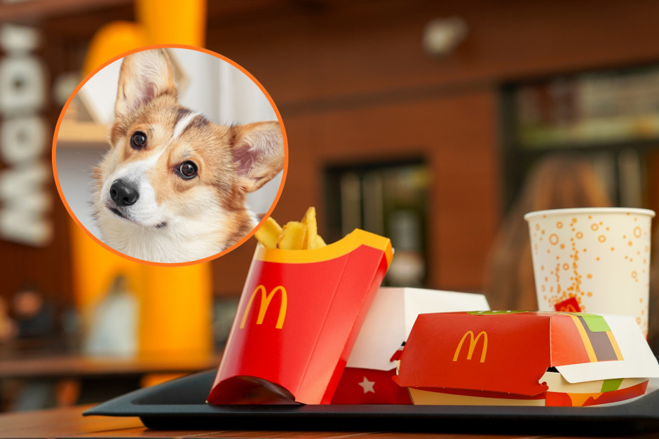 McDonald’s odstawia dzieci na bok. Happy Doggy.