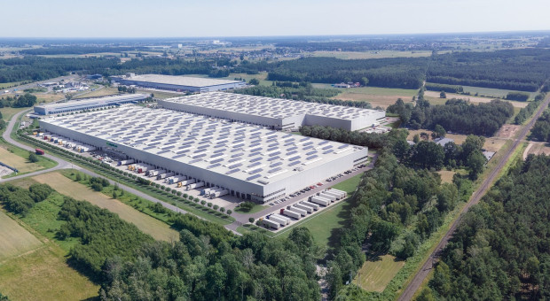 ALDI wytacza ciężkie działa. Gigantyczna inwestycja pod Warszawą