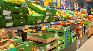 Polska marchew tylko na papierze? Biedronka i Kaufland zapłacą fortunę