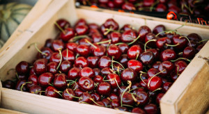 Eksperci: blokada Cieśniny Ormuz może uderzyć w polskie rolnictwo i wytwórstwo