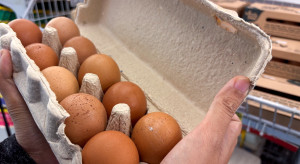 Ceny na Wielkanoc 2026: masło tanieje, jaja w promocjach, słodycze coraz droższe