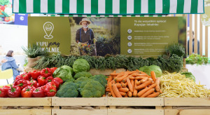 Carrefour szuka małych dostawców. Sieć rusza na dożynki po lokalne produkty